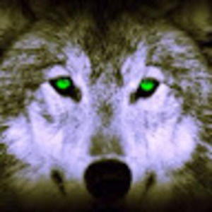 Meet your Posher, Wookman